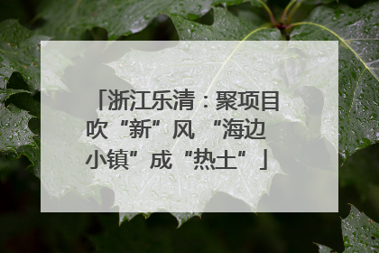 浙江乐清：聚项目吹“新”风 “海边小镇”成“热土”